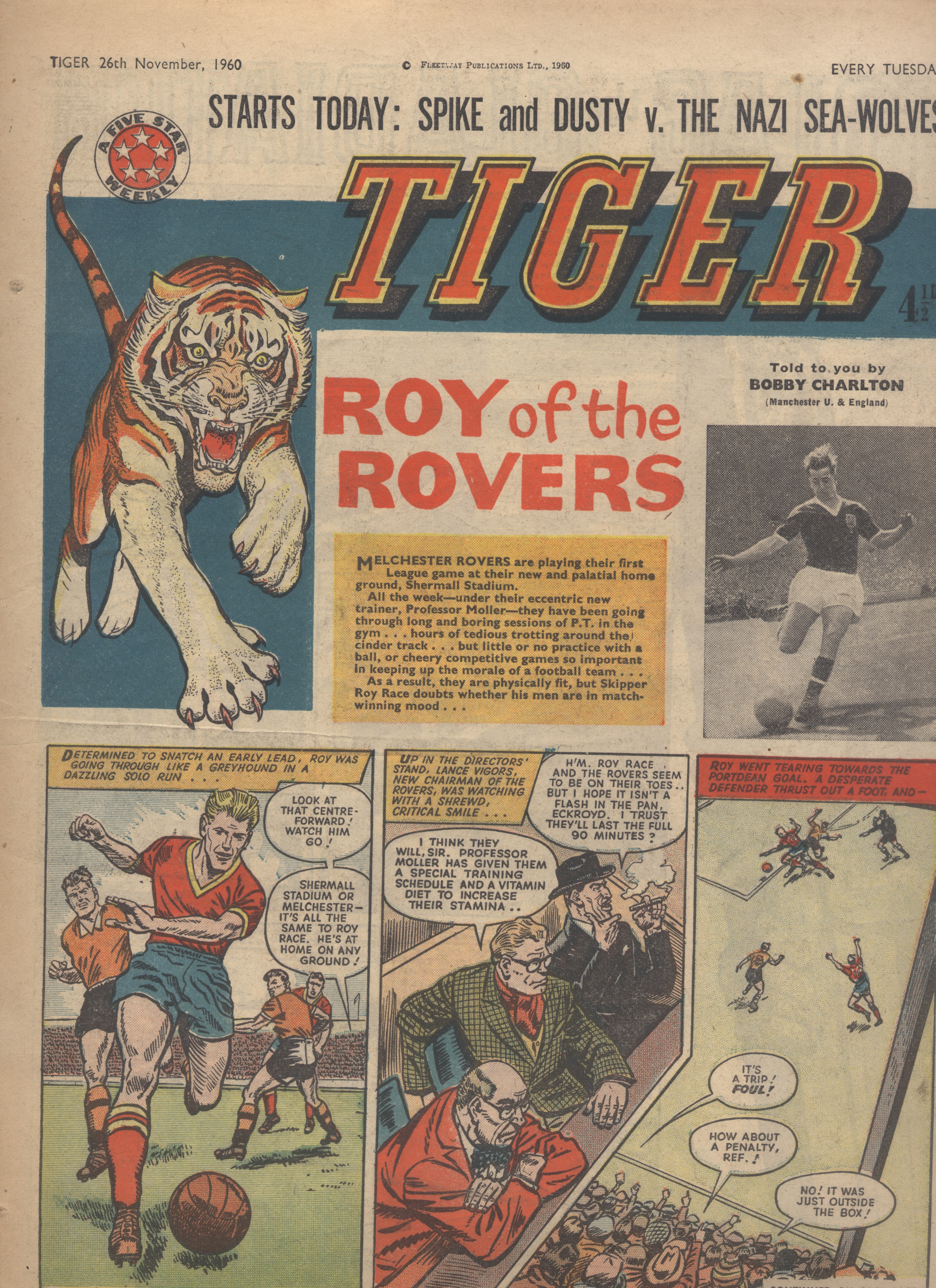 Tiger
